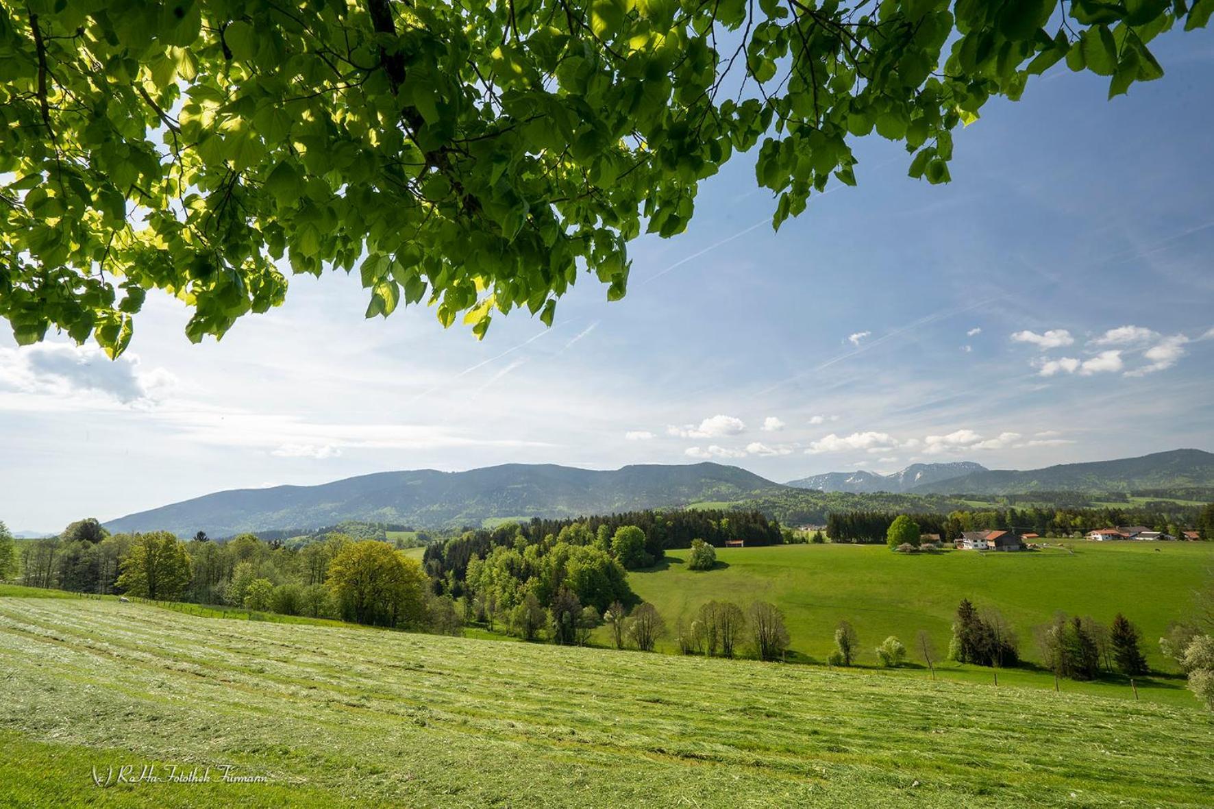 Monteurzimmer am Teisenberg Neukirchen am Teisenberg Exterior foto